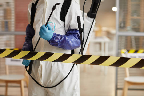 Professional Infectious Disease Decontamination technician working in Hallettsville, TX