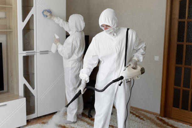 24/7 Emergency Infectious Disease Decontamination experts in Hallettsville, TX